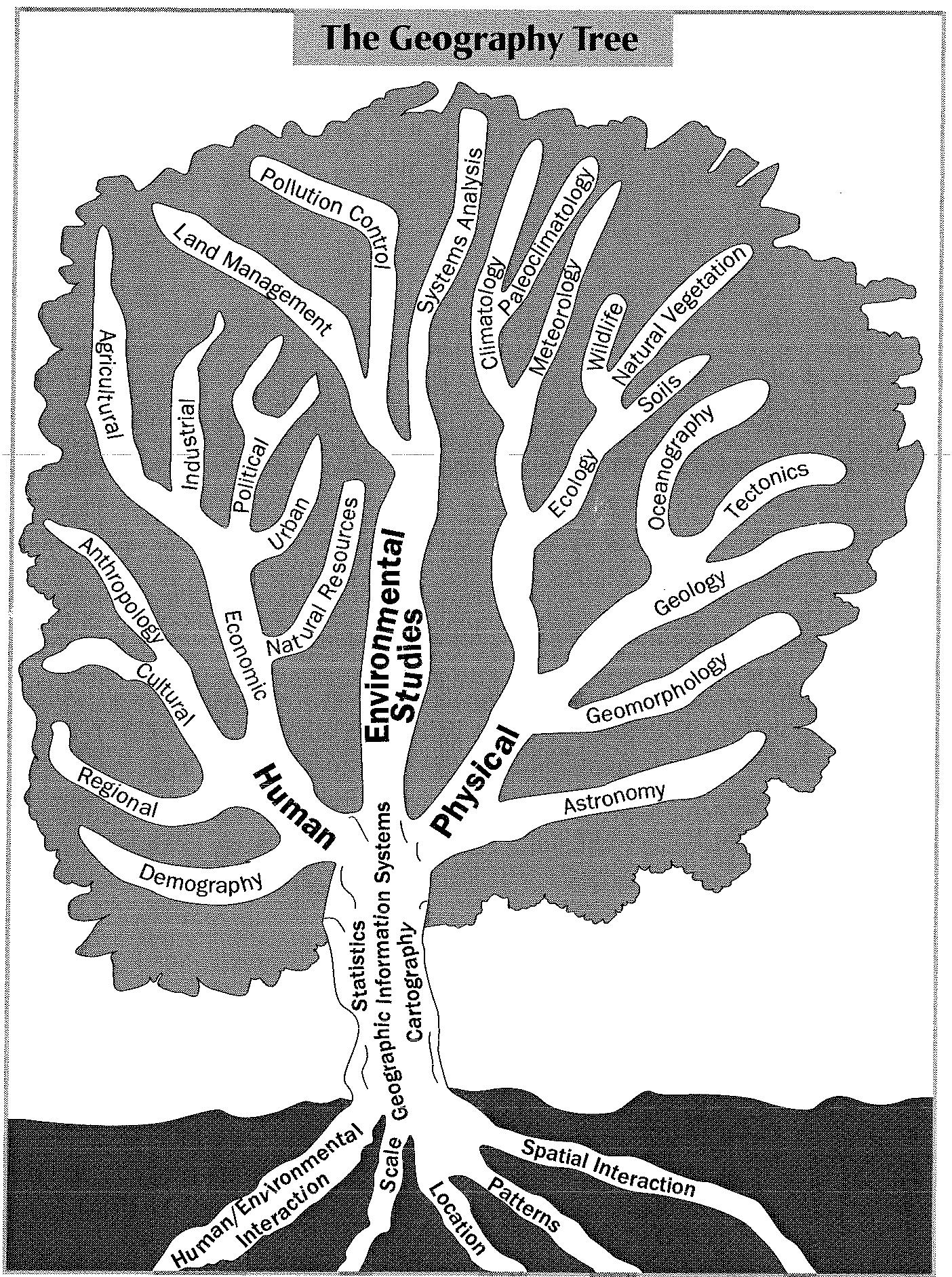 Geography Tree.JPG